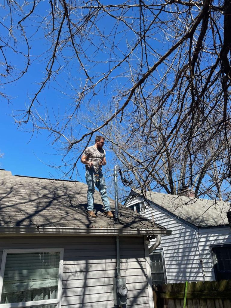 Trim your trees