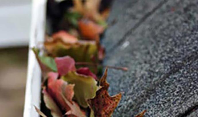 Gutter Cleaning service in Knoxville