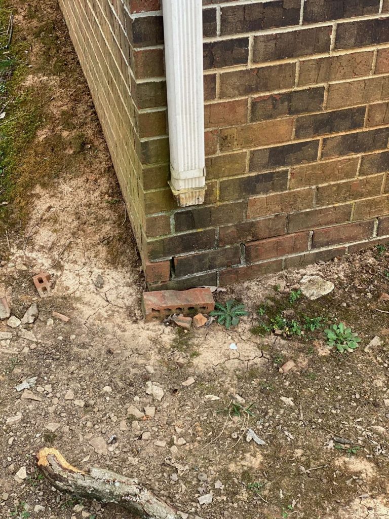Neglected drain lines problems fix in Knoxville